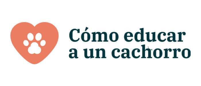 CÓMO EDUCAR A UN CACHORRO